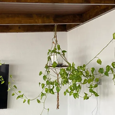 Casa Gynb Feriehus Arrecife (Lanzarote)